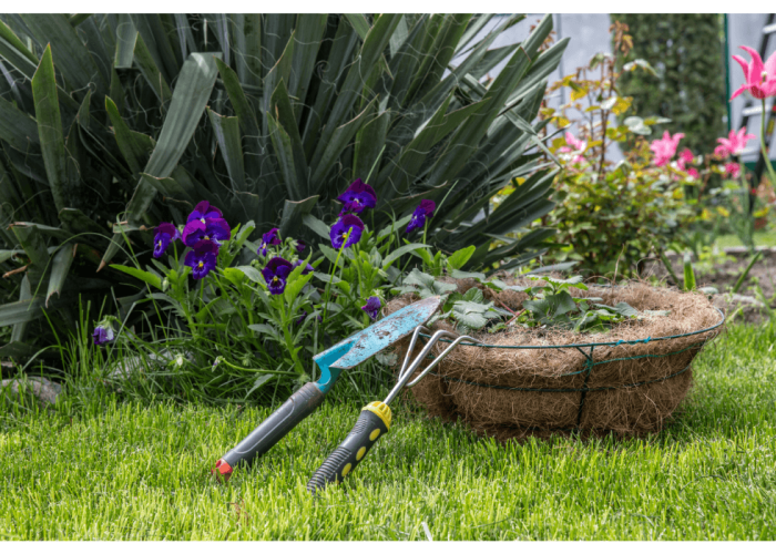 gardening services and maintenance
