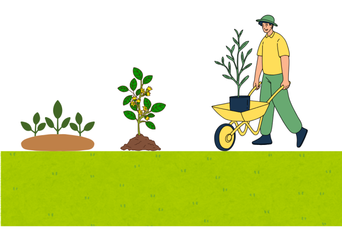 gardening services
